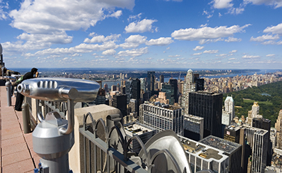 Обзорная экскурсия по Нью-Йорку с подъемом на смотровую площадку Top of the Rock или Empire State Building в США