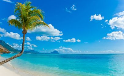 Блю-Бэй признан одним из лучших пляжей мира