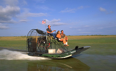 Экскурсия в национальный парк Everglades — заповедник аллигаторов с прогулкой на лодке в США