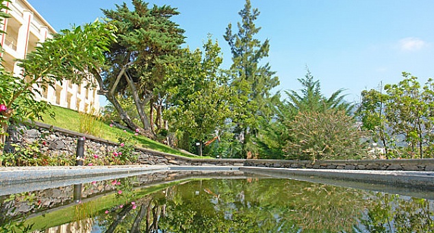 Quinta das Vistas Palace Garden