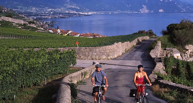 Велосипедный маршрут №1«Винная дорога»(Rhone Wine Route)