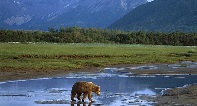 Вся Аляска: от Анкориджа до Фэирбанкса