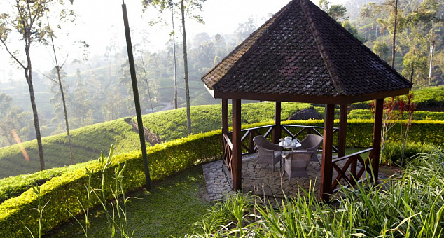 Ceylon Tea Trail