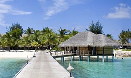 Taj Coral Reef Resort and Spa
