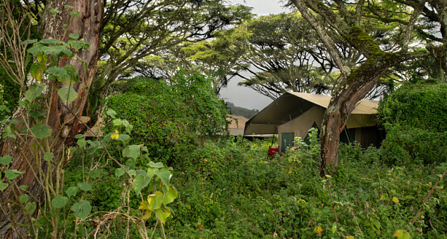Ngorongoro Tented Camp